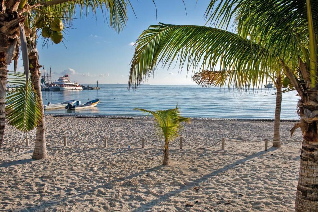 Amara, Depa Con Vista Al Mar Lejlighed Cancún Eksteriør billede